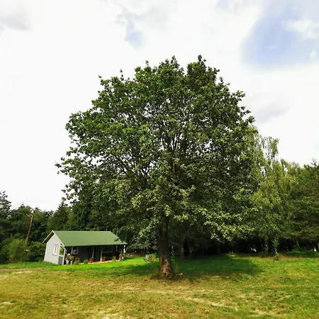 Park Lodge Korzonek